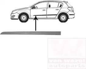 Облицовка / защитная накладка, дверь VAN WEZEL купить