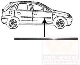 Облицовка / защитная накладка, дверь VAN WEZEL купить