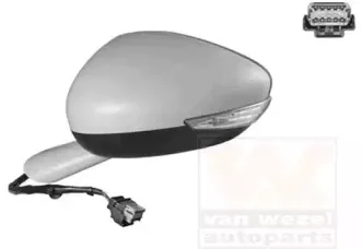 Наружное зеркало VAN WEZEL купить
