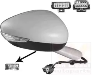 Наружное зеркало VAN WEZEL купить