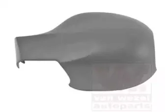 Покрытие, внешнее зеркало VAN WEZEL купить