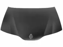 Капот двигателя VAN WEZEL купить