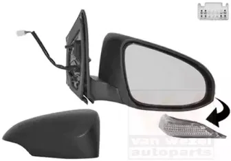 Наружное зеркало VAN WEZEL купить