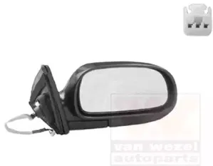 Наружное зеркало VAN WEZEL купить