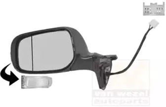 Наружное зеркало VAN WEZEL купить