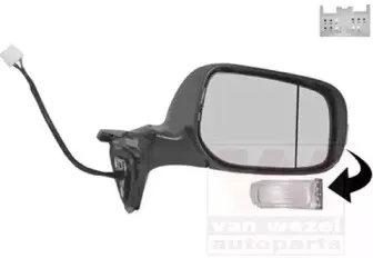 Наружное зеркало VAN WEZEL купить