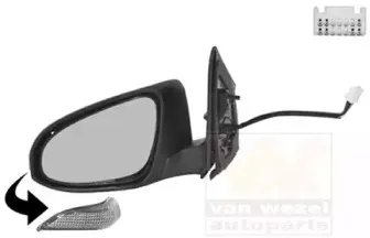 Наружное зеркало VAN WEZEL купить