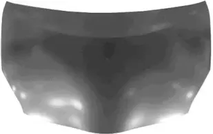 Капот двигателя VAN WEZEL купить