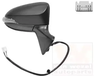 Наружное зеркало VAN WEZEL купить