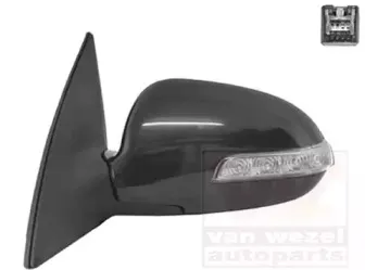 Наружное зеркало VAN WEZEL купить