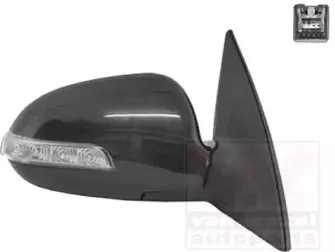 Наружное зеркало VAN WEZEL купить