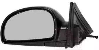 Наружное зеркало VAN WEZEL купить