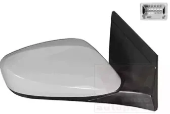 Наружное зеркало VAN WEZEL купить