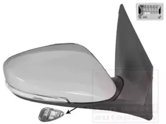 Наружное зеркало VAN WEZEL купить