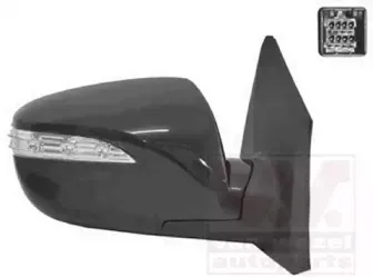 Наружное зеркало VAN WEZEL купить