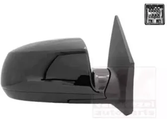 Наружное зеркало VAN WEZEL купить