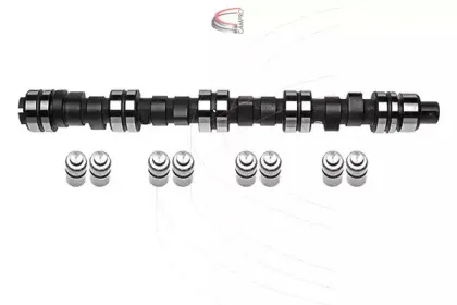 Комплект распредвала CAMPRO купить