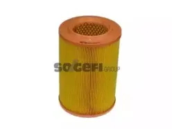 Воздушный фильтр PURFLUX купить