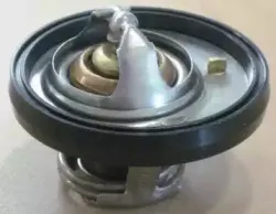 Термостат, охлаждающая жидкость MOTORAD купить