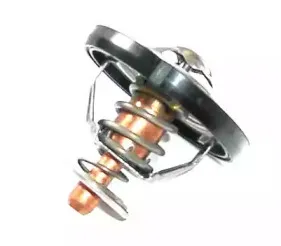 Термостат, охлаждающая жидкость MOTORAD купить