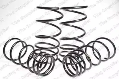 Комплект ходовой части, пружины ROC купить