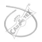 Шланг радиатора CAUTEX купить