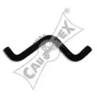 Шланг радиатора CAUTEX купить