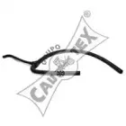 Шланг радиатора CAUTEX купить