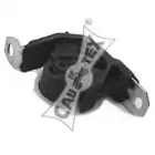 Подвеска, двигатель CAUTEX купить