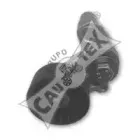 Натяжитель ремня, клиновой зубча CAUTEX купить