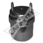 Подвеска, двигатель CAUTEX купить