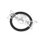 Прокладка, термостат CAUTEX купить