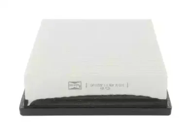 CAF100729P Champion Фільтр повітря CHAMPION купить