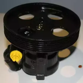 Гидравлический насос, рулевое управление SERCORE купить