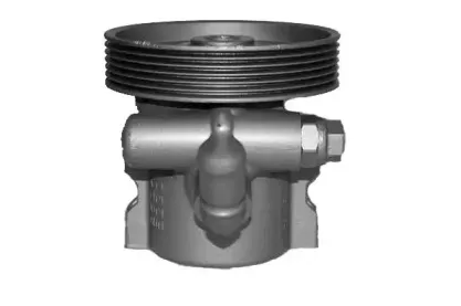 Гидравлический насос, рулевое управление SERCORE купить