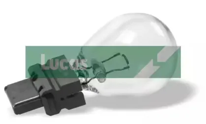 Лампа накаливания, фара заднего хода ELTA AUTOMOTIVE купить