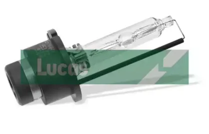 Лампа накаливания, основная фара ELTA AUTOMOTIVE купить