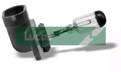 Лампа накаливания, противотуманная фара ELTA AUTOMOTIVE купить