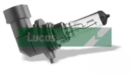 Лампа накаливания, противотуманная фара ELTA AUTOMOTIVE купить