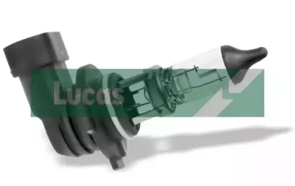 Лампа накаливания, противотуманная фара ELTA AUTOMOTIVE купить