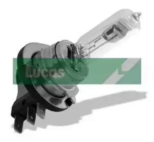 Лампа накаливания, фара дневного освещения ELTA AUTOMOTIVE купить