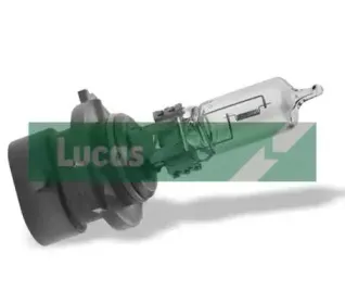 Лампа накаливания, фара дальнего света ELTA AUTOMOTIVE купить