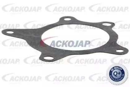 Водяной насос ACKOJAP купить