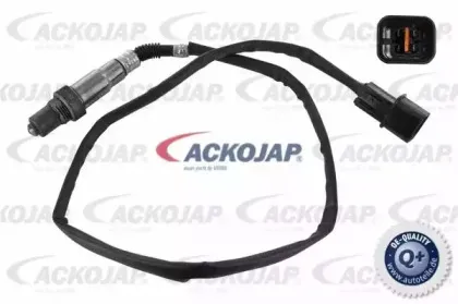 Лямбда-зонд ACKOJAP купить