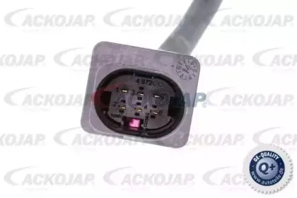 Лямбда-зонд ACKOJAP купить