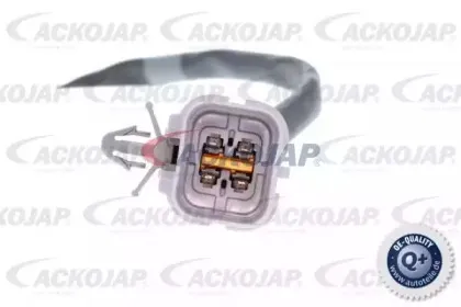 Лямбда-зонд ACKOJAP купить