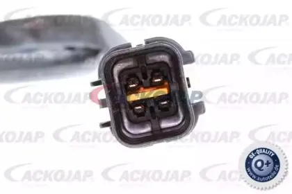 Лямбда-зонд ACKOJAP купить