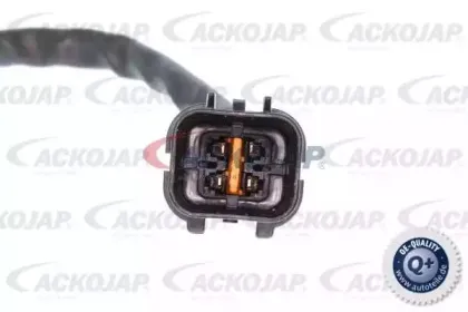 Лямбда-зонд ACKOJAP купить