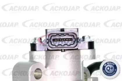 Патрубок дроссельной заслонки ACKOJAP купить