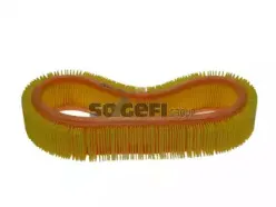 Воздушный фильтр CoopersFiaam купить